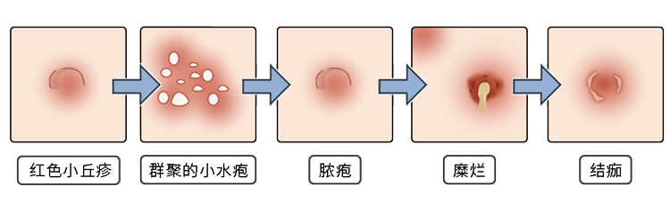 bc0d345cfd94e8da449954194e1e770f_cea13f70ly4hi9qwqdwb2j20ku06b3zw.jpg