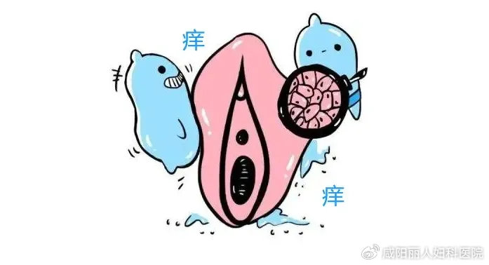 0c5ab3f9df3aa7c6fdc39601834393a2_cea13f70ly4holgjvcptjj20jd0aigm8.jpg