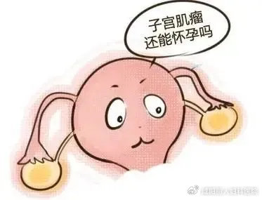 b02f0fe5804fce864bf6524f0429552c_cea13f70ly4ht4h5ietuvj20ad07xdg3.jpg