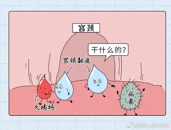 64c8a4c45b448cb22d36805873475b1b_cea13f70ly1hu0v7165tnj20fd0bn0u0.jpg