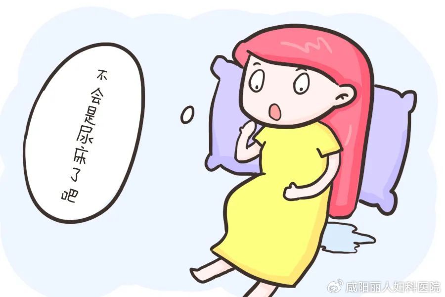 a928df655616210ee06ee525bcd87a8e_cea13f70ly4hvh5cxg4qfj20p00godgt.jpg