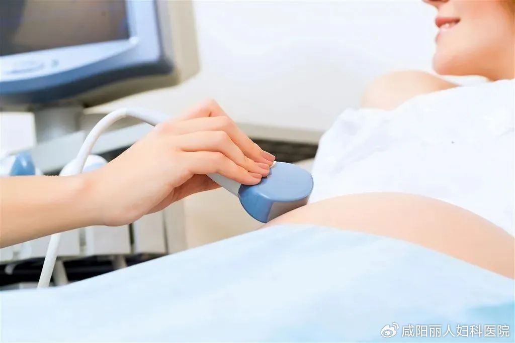 28c58b89b2620c5366da8df54bb7c018_cea13f70ly4hvtlq5v2muj20sg0izt9k.jpg