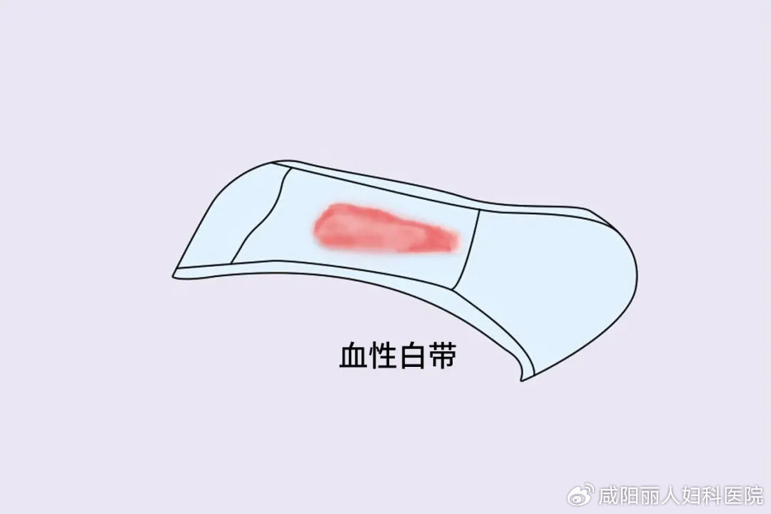 0b3b9173ec6b320e02ee5aab894331a8_cea13f70ly4i2p2ge53q6j20u00k074y.jpg