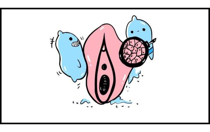 外阴白斑